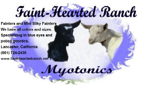 Click here to view Faint-Hearted Ranch's website